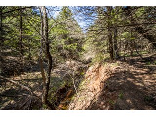 Property photo 65 - LAND AUCTION - 318+/- ACRES OFFERED IN 19 TRACTS IN CANADIAN COUNTY, OKLAHOMA