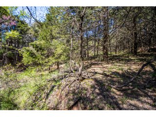 Property photo 79 - LAND AUCTION - 318+/- ACRES OFFERED IN 19 TRACTS IN CANADIAN COUNTY, OKLAHOMA