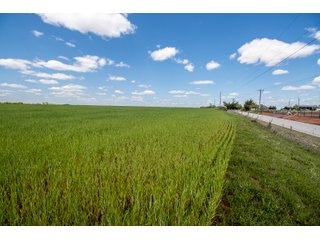 Property photo 27 - LAND AUCTION - 318+/- ACRES OFFERED IN 19 TRACTS IN CANADIAN COUNTY, OKLAHOMA