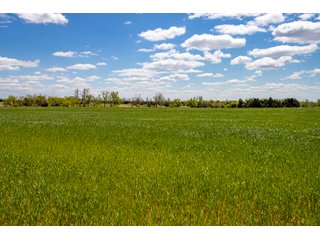 Property photo 29 - LAND AUCTION - 318+/- ACRES OFFERED IN 19 TRACTS IN CANADIAN COUNTY, OKLAHOMA