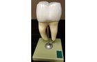 Property photo 3 - TIMED ONLINE ONLY - PERSONAL PROPERTY AUCTION IN ALLEN COUNTY, INDIANA