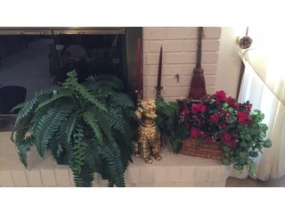 Property photo 13 - TIMED ONLINE ONLY - PERSONAL PROPERTY AUCTION IN ALLEN COUNTY, INDIANA