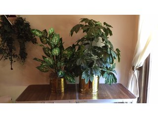 Property photo 40 - TIMED ONLINE ONLY - PERSONAL PROPERTY AUCTION IN ALLEN COUNTY, INDIANA