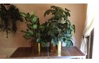 Property photo 40 - TIMED ONLINE ONLY - PERSONAL PROPERTY AUCTION IN ALLEN COUNTY, INDIANA