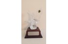 Property photo 45 - TIMED ONLINE ONLY - PERSONAL PROPERTY AUCTION IN ALLEN COUNTY, INDIANA