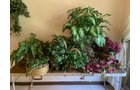 Property photo 72 - TIMED ONLINE ONLY - PERSONAL PROPERTY AUCTION IN ALLEN COUNTY, INDIANA