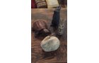 Property photo 85 - TIMED ONLINE ONLY - PERSONAL PROPERTY AUCTION IN ALLEN COUNTY, INDIANA