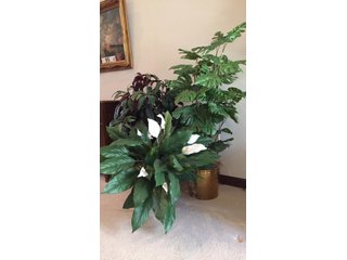 Property photo 199 - TIMED ONLINE ONLY - PERSONAL PROPERTY AUCTION IN ALLEN COUNTY, INDIANA