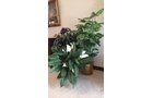 Property photo 199 - TIMED ONLINE ONLY - PERSONAL PROPERTY AUCTION IN ALLEN COUNTY, INDIANA