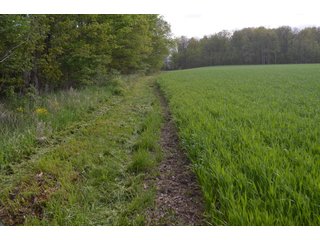 Property photo 38 - LAND AUCTION - 80 +/- ACRES OFFERED IN 4 TRACTS IN ALLEN COUNTY, INDIANA