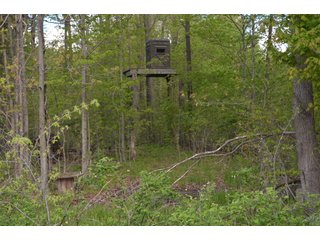 Property photo 37 - LAND AUCTION - 80 +/- ACRES OFFERED IN 4 TRACTS IN ALLEN COUNTY, INDIANA