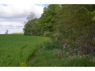 Property photo 36 - LAND AUCTION - 80 +/- ACRES OFFERED IN 4 TRACTS IN ALLEN COUNTY, INDIANA