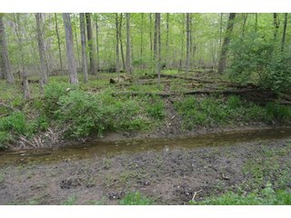 Property photo 31 - LAND AUCTION - 80 +/- ACRES OFFERED IN 4 TRACTS IN ALLEN COUNTY, INDIANA