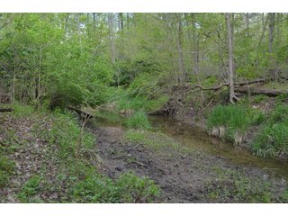 Property photo 30 - LAND AUCTION - 80 +/- ACRES OFFERED IN 4 TRACTS IN ALLEN COUNTY, INDIANA