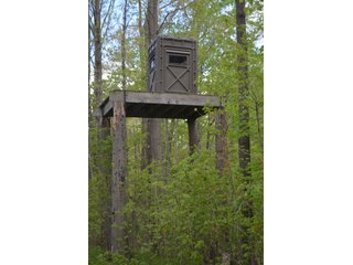 Property photo 47 - LAND AUCTION - 80 +/- ACRES OFFERED IN 4 TRACTS IN ALLEN COUNTY, INDIANA