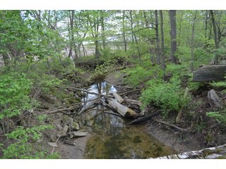 Property photo 40 - LAND AUCTION - 80 +/- ACRES OFFERED IN 4 TRACTS IN ALLEN COUNTY, INDIANA