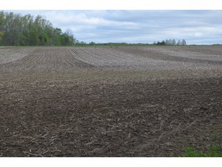 Property photo 41 - LAND AUCTION - 80 +/- ACRES OFFERED IN 4 TRACTS IN ALLEN COUNTY, INDIANA