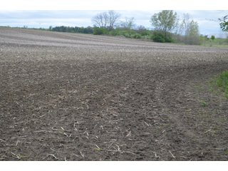 Property photo 42 - LAND AUCTION - 80 +/- ACRES OFFERED IN 4 TRACTS IN ALLEN COUNTY, INDIANA