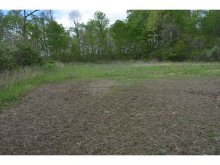 Property photo 43 - LAND AUCTION - 80 +/- ACRES OFFERED IN 4 TRACTS IN ALLEN COUNTY, INDIANA