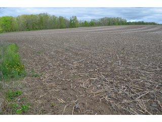 Property photo 44 - LAND AUCTION - 80 +/- ACRES OFFERED IN 4 TRACTS IN ALLEN COUNTY, INDIANA