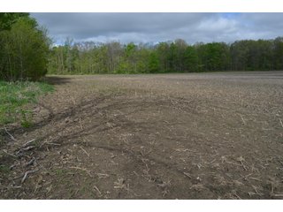 Property photo 46 - LAND AUCTION - 80 +/- ACRES OFFERED IN 4 TRACTS IN ALLEN COUNTY, INDIANA