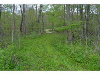 Property photo 50 - LAND AUCTION - 80 +/- ACRES OFFERED IN 4 TRACTS IN ALLEN COUNTY, INDIANA