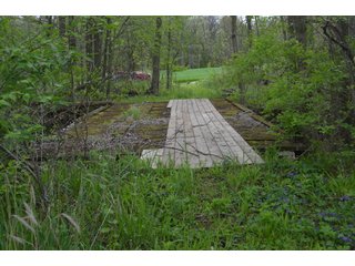 Property photo 15 - LAND AUCTION - 80 +/- ACRES OFFERED IN 4 TRACTS IN ALLEN COUNTY, INDIANA