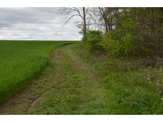 Property photo 39 - LAND AUCTION - 80 +/- ACRES OFFERED IN 4 TRACTS IN ALLEN COUNTY, INDIANA