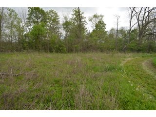 Property photo 53 - LAND AUCTION - 80 +/- ACRES OFFERED IN 4 TRACTS IN ALLEN COUNTY, INDIANA