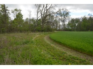 Property photo 54 - LAND AUCTION - 80 +/- ACRES OFFERED IN 4 TRACTS IN ALLEN COUNTY, INDIANA
