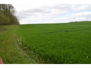 Property photo 57 - LAND AUCTION - 80 +/- ACRES OFFERED IN 4 TRACTS IN ALLEN COUNTY, INDIANA
