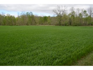 Property photo 58 - LAND AUCTION - 80 +/- ACRES OFFERED IN 4 TRACTS IN ALLEN COUNTY, INDIANA