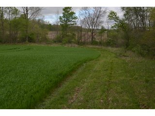 Property photo 61 - LAND AUCTION - 80 +/- ACRES OFFERED IN 4 TRACTS IN ALLEN COUNTY, INDIANA