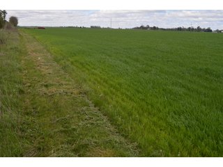 Property photo 18 - LAND AUCTION - 80 +/- ACRES OFFERED IN 4 TRACTS IN ALLEN COUNTY, INDIANA