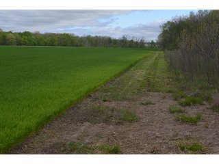 Property photo 20 - LAND AUCTION - 80 +/- ACRES OFFERED IN 4 TRACTS IN ALLEN COUNTY, INDIANA