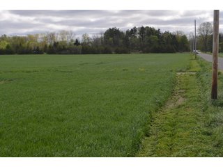 Property photo 26 - LAND AUCTION - 80 +/- ACRES OFFERED IN 4 TRACTS IN ALLEN COUNTY, INDIANA