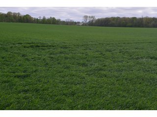 Property photo 28 - LAND AUCTION - 80 +/- ACRES OFFERED IN 4 TRACTS IN ALLEN COUNTY, INDIANA