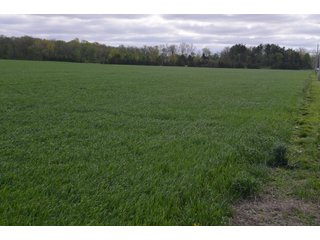 Property photo 29 - LAND AUCTION - 80 +/- ACRES OFFERED IN 4 TRACTS IN ALLEN COUNTY, INDIANA