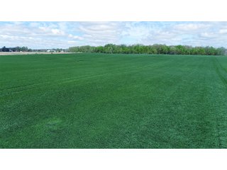 Property photo 2 - LAND AUCTION - 80 +/- ACRES OFFERED IN 4 TRACTS IN ALLEN COUNTY, INDIANA