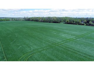 Property photo 4 - LAND AUCTION - 80 +/- ACRES OFFERED IN 4 TRACTS IN ALLEN COUNTY, INDIANA