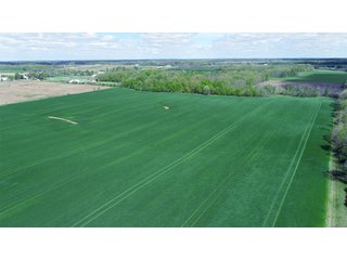 Property photo 5 - LAND AUCTION - 80 +/- ACRES OFFERED IN 4 TRACTS IN ALLEN COUNTY, INDIANA