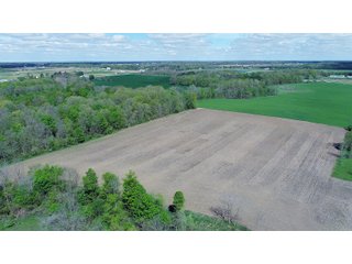 Property photo 6 - LAND AUCTION - 80 +/- ACRES OFFERED IN 4 TRACTS IN ALLEN COUNTY, INDIANA