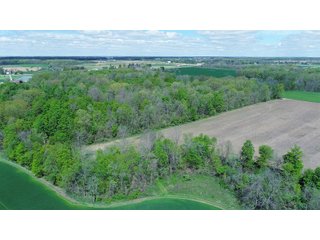 Property photo 7 - LAND AUCTION - 80 +/- ACRES OFFERED IN 4 TRACTS IN ALLEN COUNTY, INDIANA