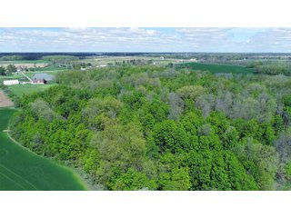 Property photo 8 - LAND AUCTION - 80 +/- ACRES OFFERED IN 4 TRACTS IN ALLEN COUNTY, INDIANA