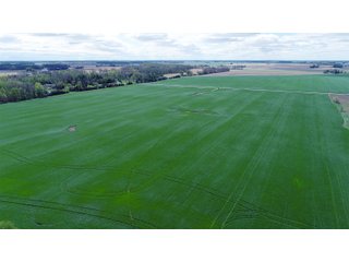 Property photo 9 - LAND AUCTION - 80 +/- ACRES OFFERED IN 4 TRACTS IN ALLEN COUNTY, INDIANA