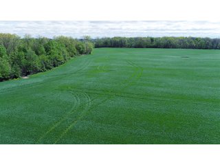 Property photo 10 - LAND AUCTION - 80 +/- ACRES OFFERED IN 4 TRACTS IN ALLEN COUNTY, INDIANA