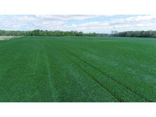 Property photo 12 - LAND AUCTION - 80 +/- ACRES OFFERED IN 4 TRACTS IN ALLEN COUNTY, INDIANA
