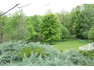 Property photo 13 - TIMED ONLINE ONLY - REAL ESTATE AUCTION - 8.205 ACRES OFFERED IN 1 TRACT IN WHITLEY COUNTY, INDIANA