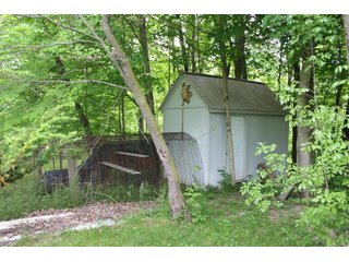Property photo 14 - TIMED ONLINE ONLY - REAL ESTATE AUCTION - 8.205 ACRES OFFERED IN 1 TRACT IN WHITLEY COUNTY, INDIANA