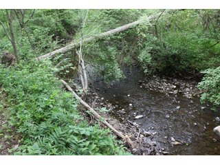 Property photo 16 - TIMED ONLINE ONLY - REAL ESTATE AUCTION - 8.205 ACRES OFFERED IN 1 TRACT IN WHITLEY COUNTY, INDIANA